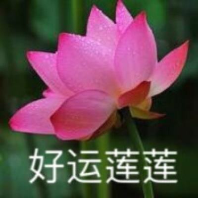 24小时余震200多次 台湾花莲牵动人心
